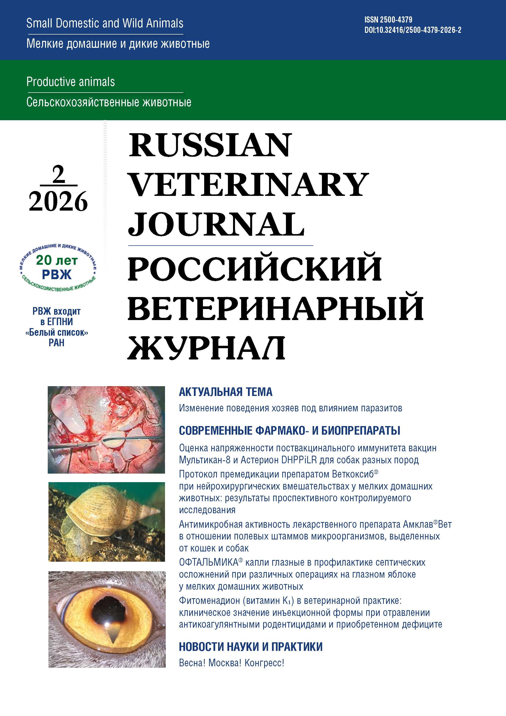 Фитоменадион (витамин K1) в ветеринарной практике: клиническое значение инъекционной формы при отравлении антикоагулянтными родентицидами и приобретенном дефиците