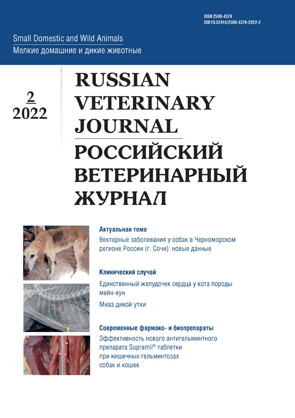 Векторные заболевания у собак в Черноморском регионе России (г. Сочи): новые данные